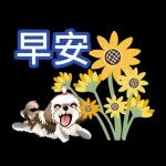 西施迪迪 (日常生活及問候篇)