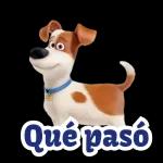 ¡Toma! Para que te relajes.