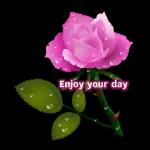 I want to give you all the force🤟