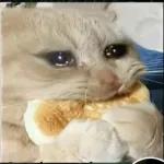 Gracias por el Visto