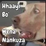 НАНАНАНА!!! 0488