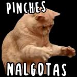 PINCHES NALGOTAS