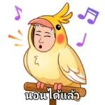 ดาวน์โหลดฟรี