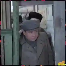 Анимахи