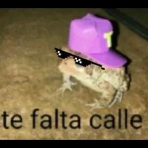 LTNvlG