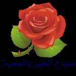 صباح الخير والمحبة 