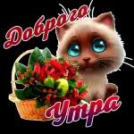 доброе утро