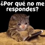 ¡Te amo Mamá!