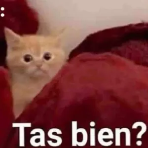zvJLBP