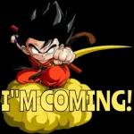 funny goku