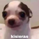 kisieras