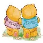 Bear's expressiepakket