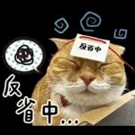 在幹森麼？小貓咪在呼叫中》〉》