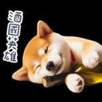 醉酒柴柴✩一醉方休