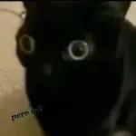 ADMIRO A LOS SOLDADOS CON INICIATIVA