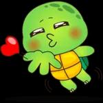 cute turtle❤️❤️