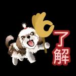 西施迪迪 (日常生活及問候篇)