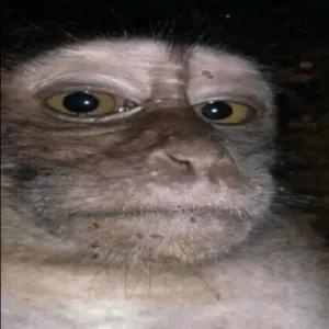 0yscap