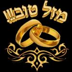 רועי 2