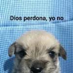 BAÑO! BAÑO! BAÑO! BAÑO!