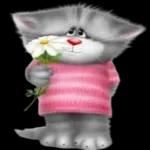 ?
剛剛睡醒 什麼事