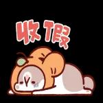 肥兔寶 - 錢多多！福多多！