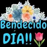 AL CABO QUE NI QUERÍA