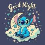 Stitch's lovely night