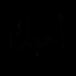 عطوه
كرتون بيض