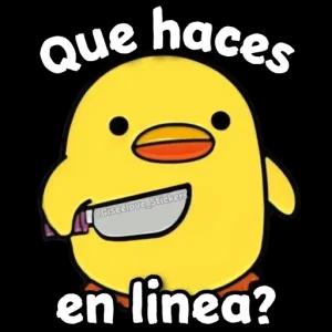 pgxQlM