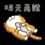 「甜蜜日常 🌼🌟」