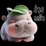 หมูดุ้งฮิปโปตัวกลมใบไม้