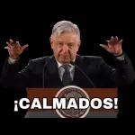 A TUS ÓRDENES PATRONA!