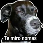 jvvcvg