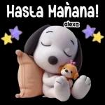 hasta mañana 