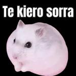 No puta