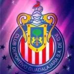 CHIVAS DEL