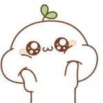 mochis kawaii