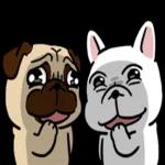 豆卡頻道-茶寶丸萌犬篇