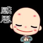 聪明可爱的小弥勒😉