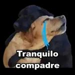 komo lo zupo