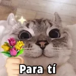 Hello, honey!