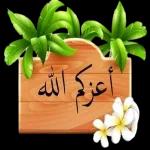 هلا بالغالي