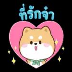 สินค้าที่ท่านสนใจ~~