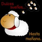 buenas noches