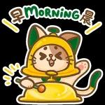 叮叮貓嚟啦！