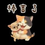 花貓超可愛諧音梗