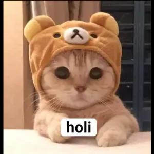 HConWw