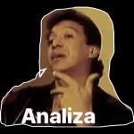 Analiza 