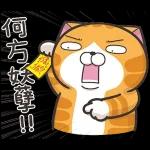 白爛貓11☆超級萌☆